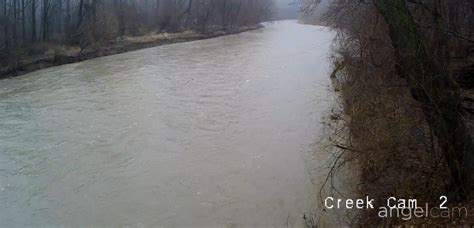 walnut creek erie pa live camera|pink salmon in elk creek